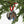  Custom Christmas Picture Ornament